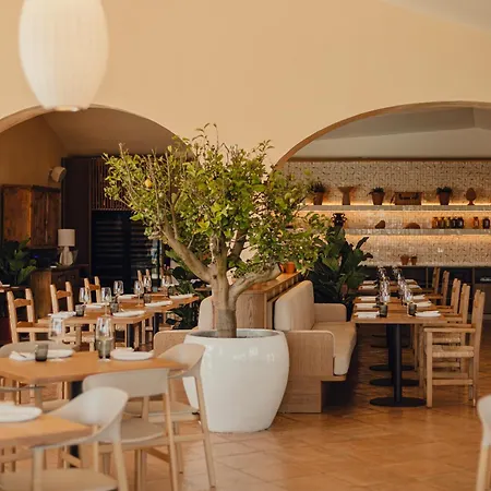 Aethos Sardinia 坎尼吉翁